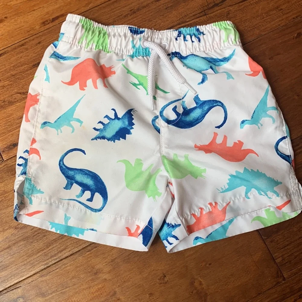 Swim Trunks - Picture 2 of 16